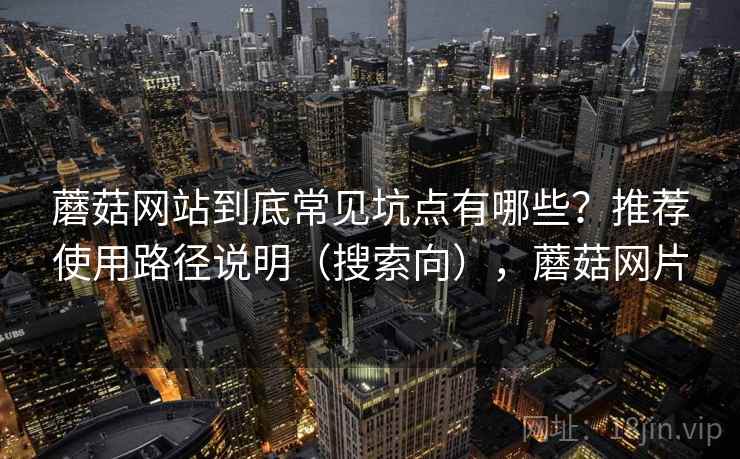 蘑菇网站到底常见坑点有哪些？推荐使用路径说明（搜索向），蘑菇网片