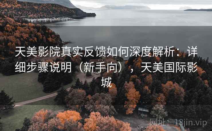 天美影院真实反馈如何深度解析：详细步骤说明（新手向），天美国际影城