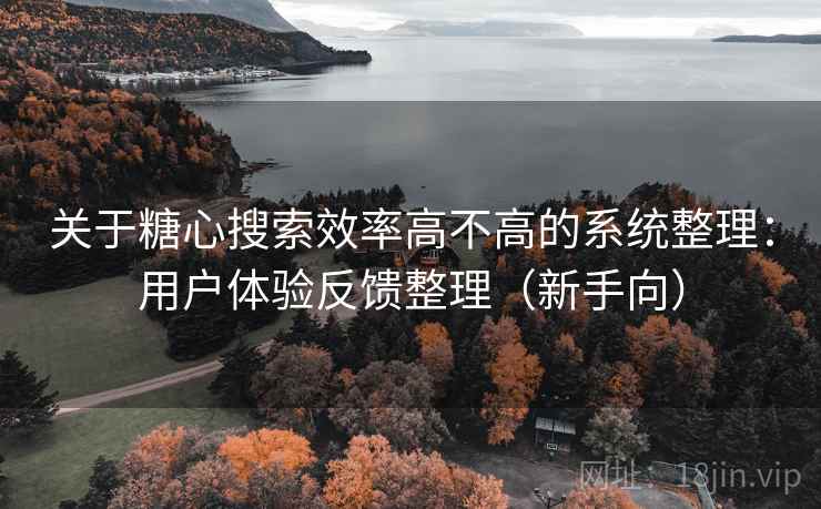 关于糖心搜索效率高不高的系统整理：用户体验反馈整理（新手向）